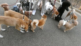 ��X�،����@��19�C