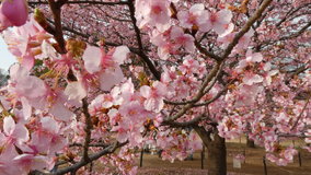 ��X�،����@�͒Í�