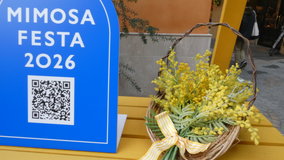 ���@�~���U�t�F�X�^