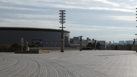 �����@���̑勴