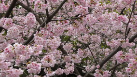 �������@�劦��