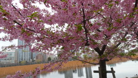 �������@�͒Í�