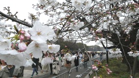 �������@�\���C���V�m