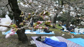 �������@�\���C���V�m����