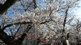 �������@�\���C���V�m