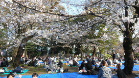 �������@�\���C���V�m�@����