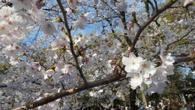 �������@�\���C���V�m