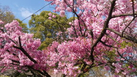 �������@�z��?