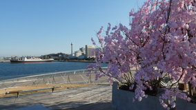 ���l�@�傳�񋴂̑��ԍ�