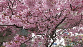 ���l�@�z��?