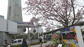 ���l�@�_�㏌