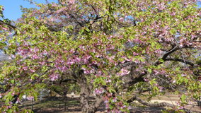 ��X�،����@�͒Í��͗t��