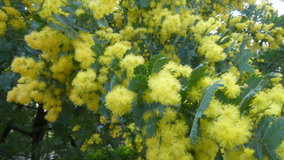 ��X�،����@�~���U