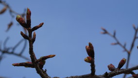 ��X�،����@�\���C���V�m�̃c�{�~