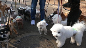 ��X�،����@��19�C