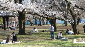 ��X�،����@�\���C���V�m �Ԍ�