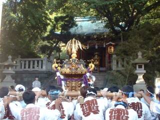 �����_��