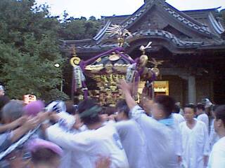 �����_��