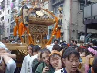 �����闢�񒚖�