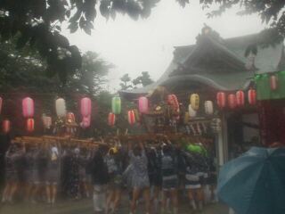 �����_��