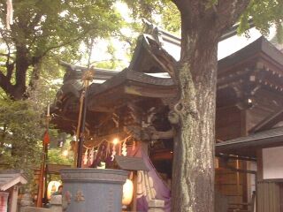 ����ƍ�_��