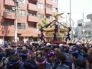 ����ƍ�_��