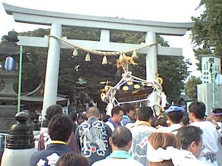 �����_��