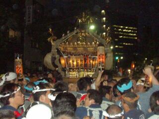 �S�C�F���