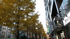 �H�t���@�C�`���E