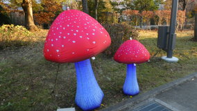 �����@���C�g�E�H�[�N