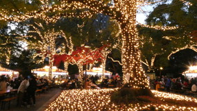 �������@�C�`���E