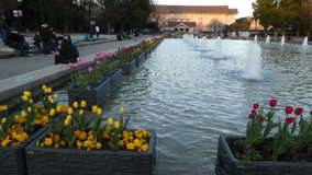 �������@�����`���[���b�v