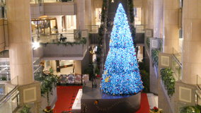 ���l�@�g��&�W�F���[�c���[