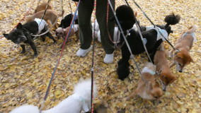 ��X�،����@��20�C