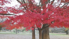 ��X�،����@��