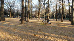 ��X�،����@�������C�`���E