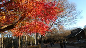 ��X�،����@�c�����J�G�f