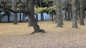 ��X�،����@�������C�`���E