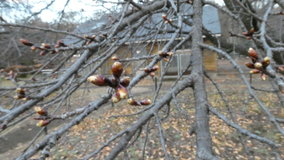 ��X�،����@�͒Í����Q