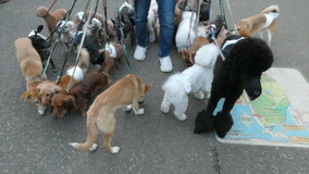 ��X�،����@��28�C